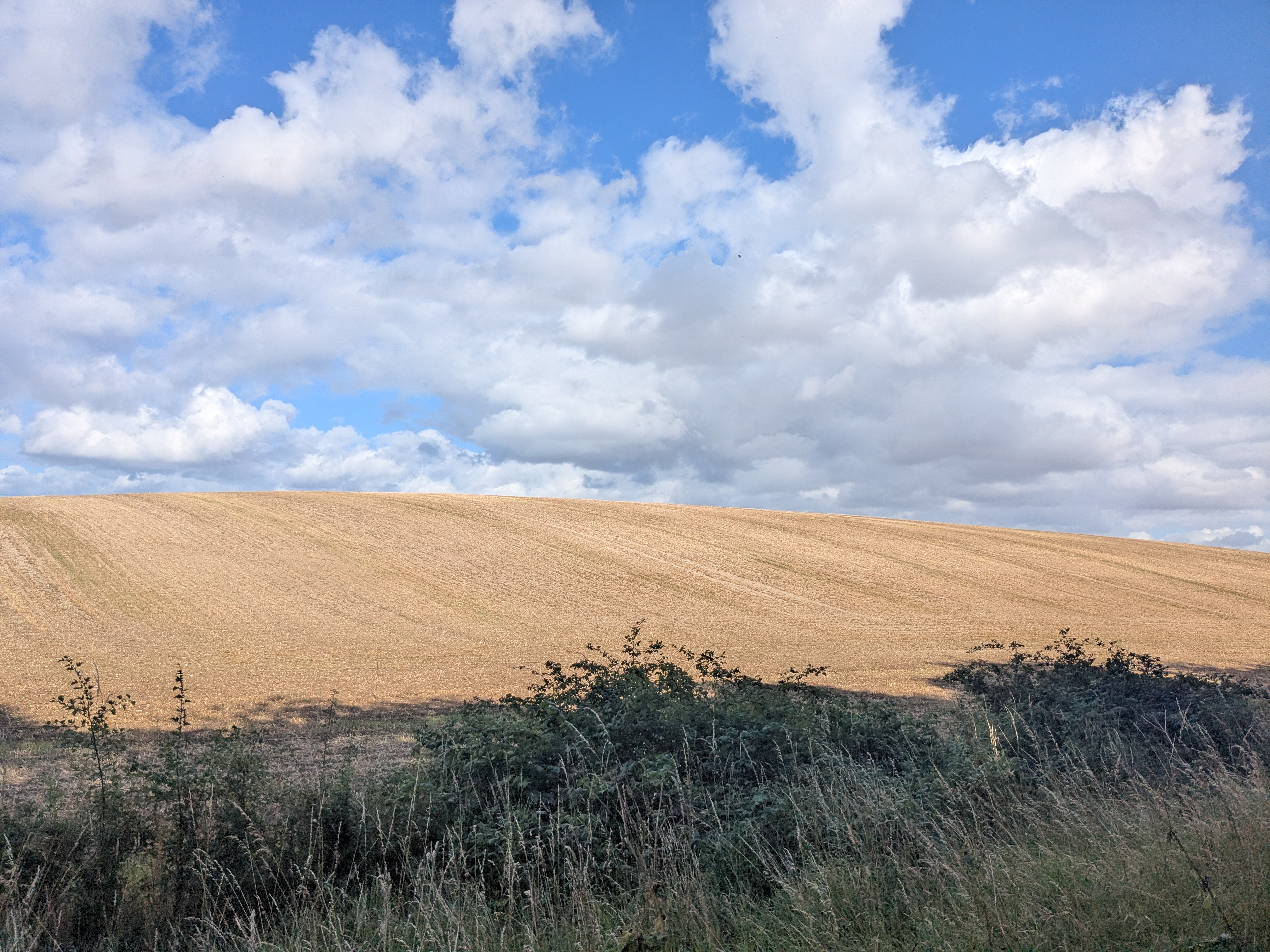 PXL_20250805_153922527.MP